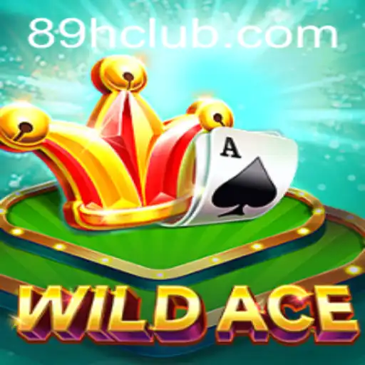 Unveiling WildAce: The Thrilling New Game Revolution